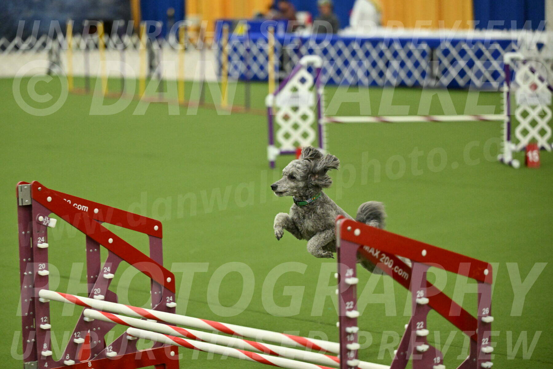 MAS-EX-JWW-16-Inch_2273