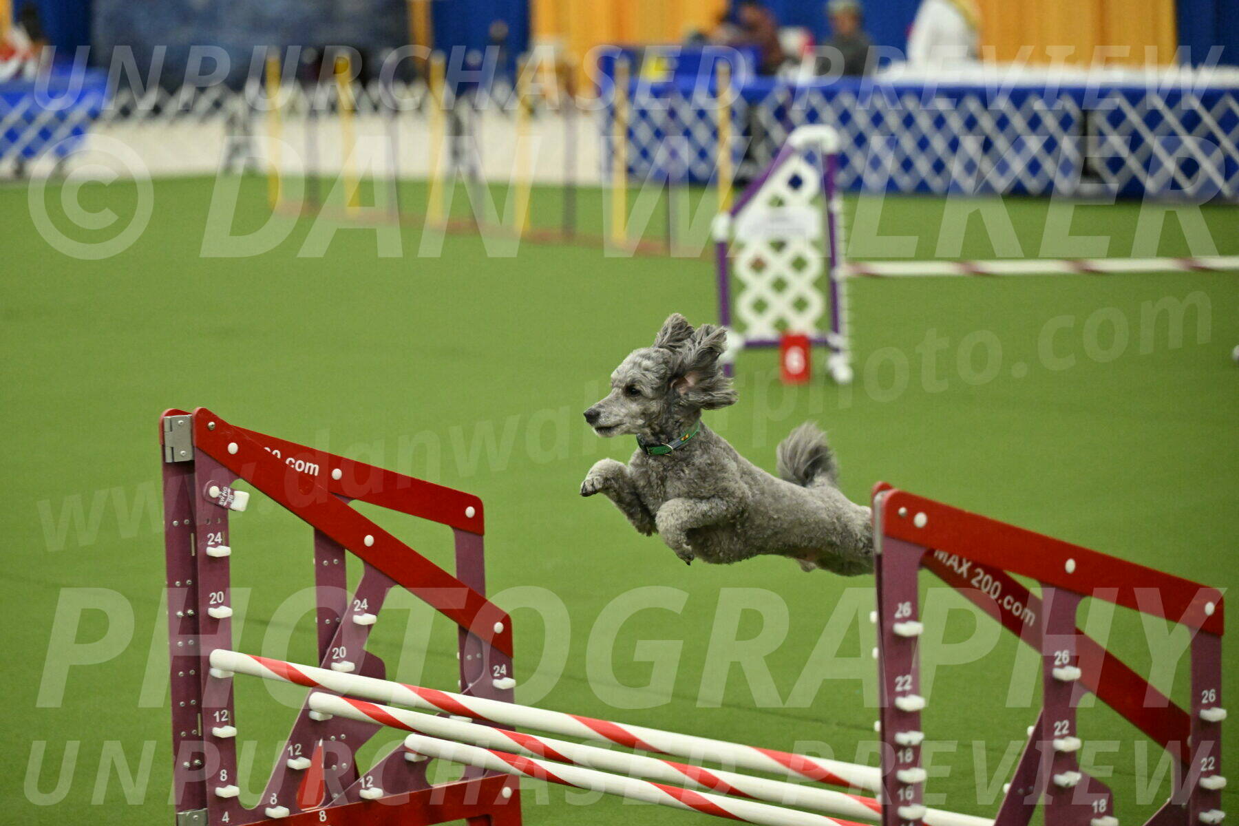 MAS-EX-JWW-16-Inch_2274