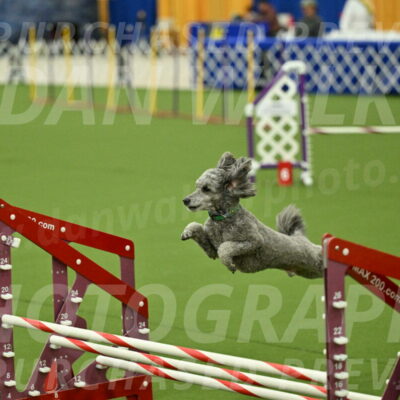 MAS-EX-JWW-16-Inch_2274