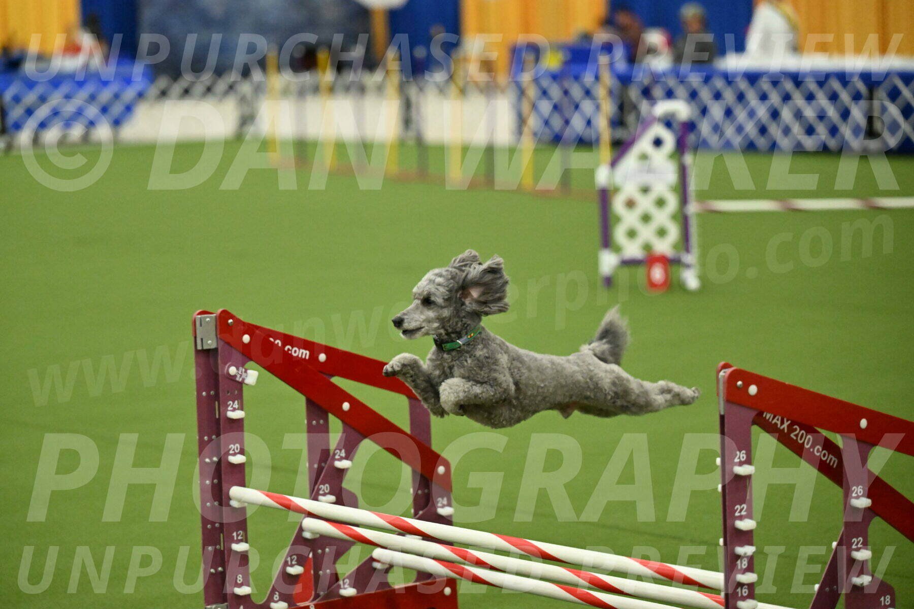 MAS-EX-JWW-16-Inch_2275