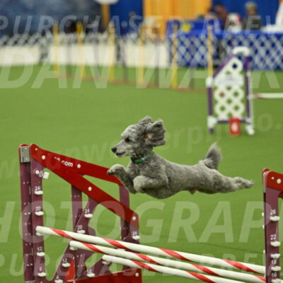 MAS-EX-JWW-16-Inch_2275