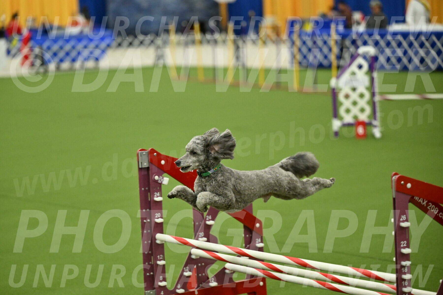 MAS-EX-JWW-16-Inch_2276