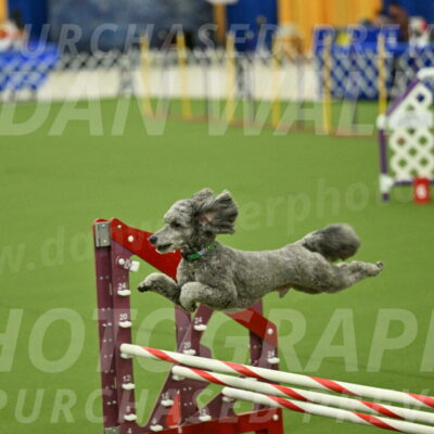 MAS-EX-JWW-16-Inch_2276