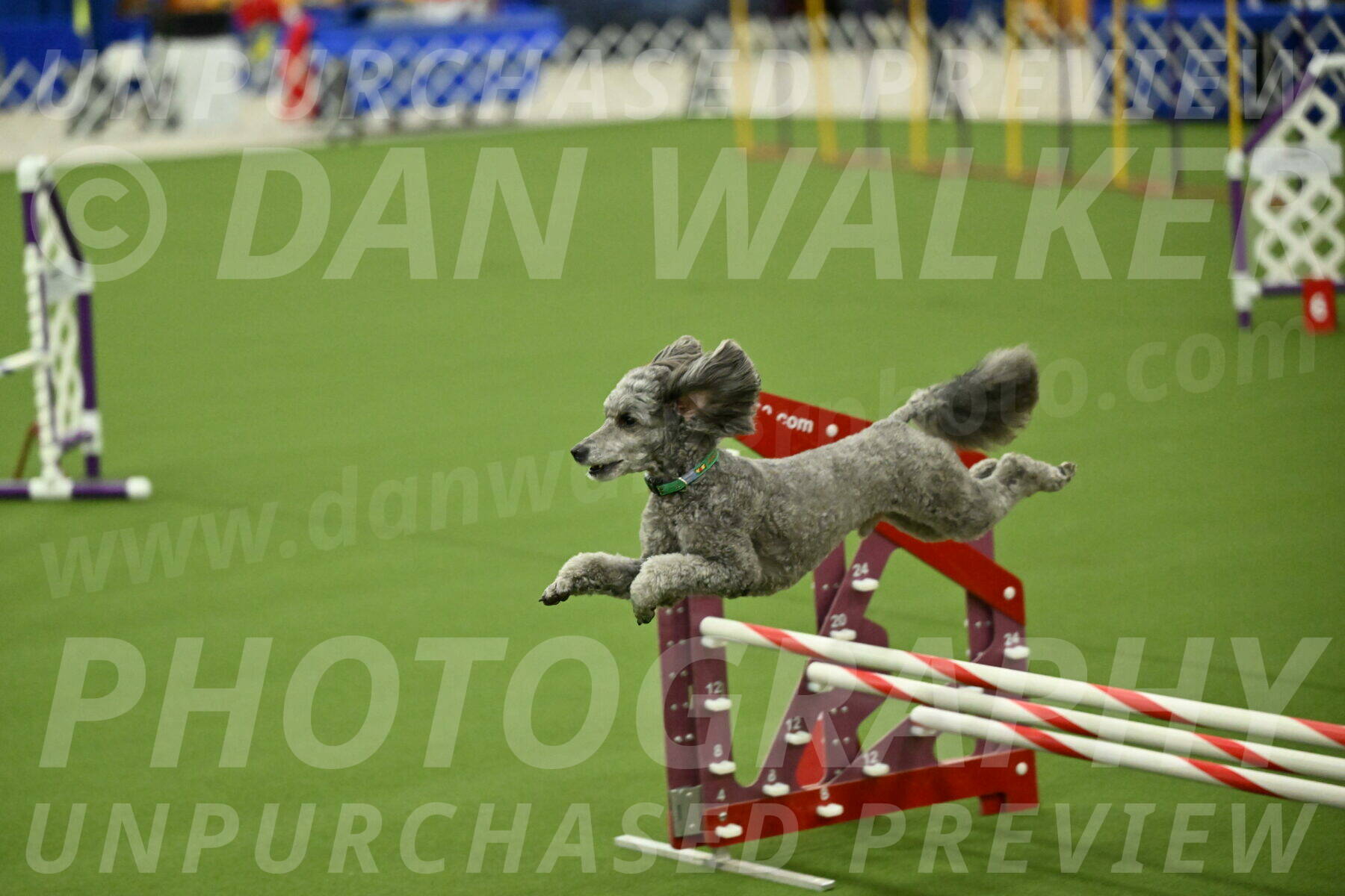 MAS-EX-JWW-16-Inch_2277