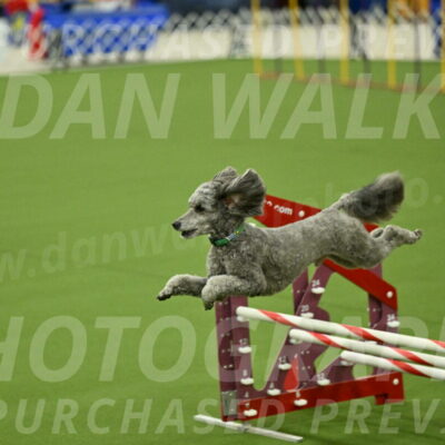 MAS-EX-JWW-16-Inch_2277