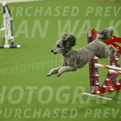 MAS-EX-JWW-16-Inch_2278