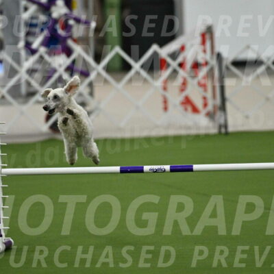 MAS-EX-JWW-16-Inch_2283