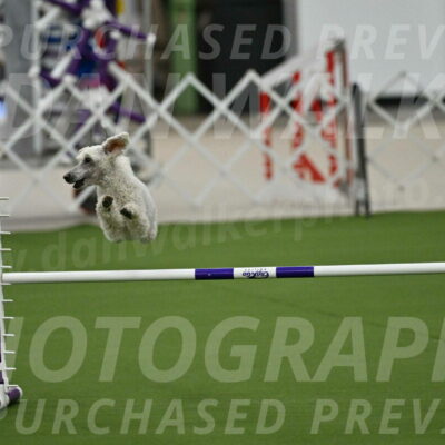 MAS-EX-JWW-16-Inch_2284