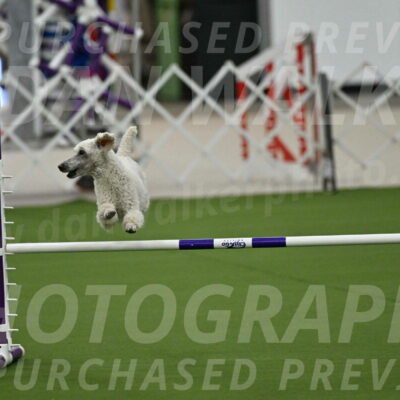 MAS-EX-JWW-16-Inch_2285