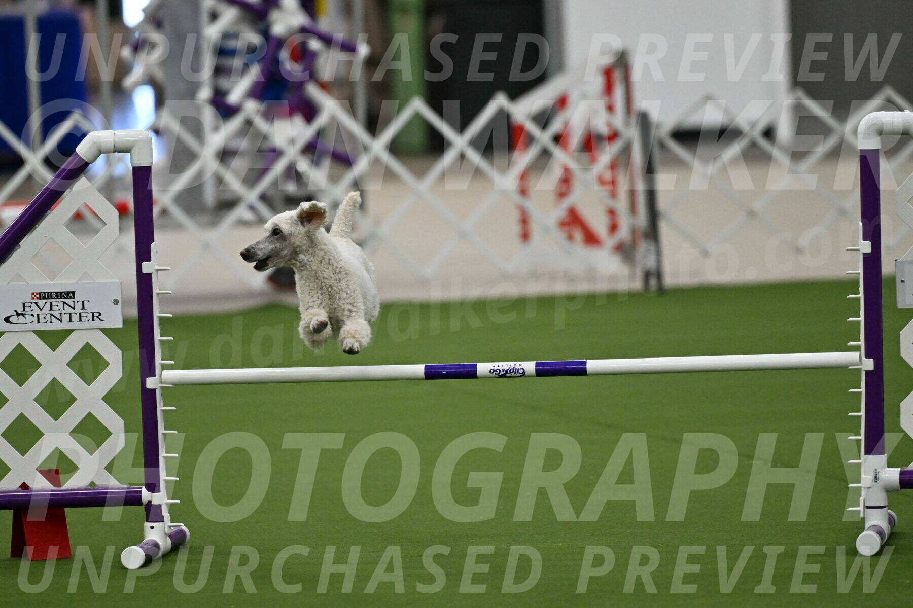 MAS-EX-JWW-16-Inch_2285