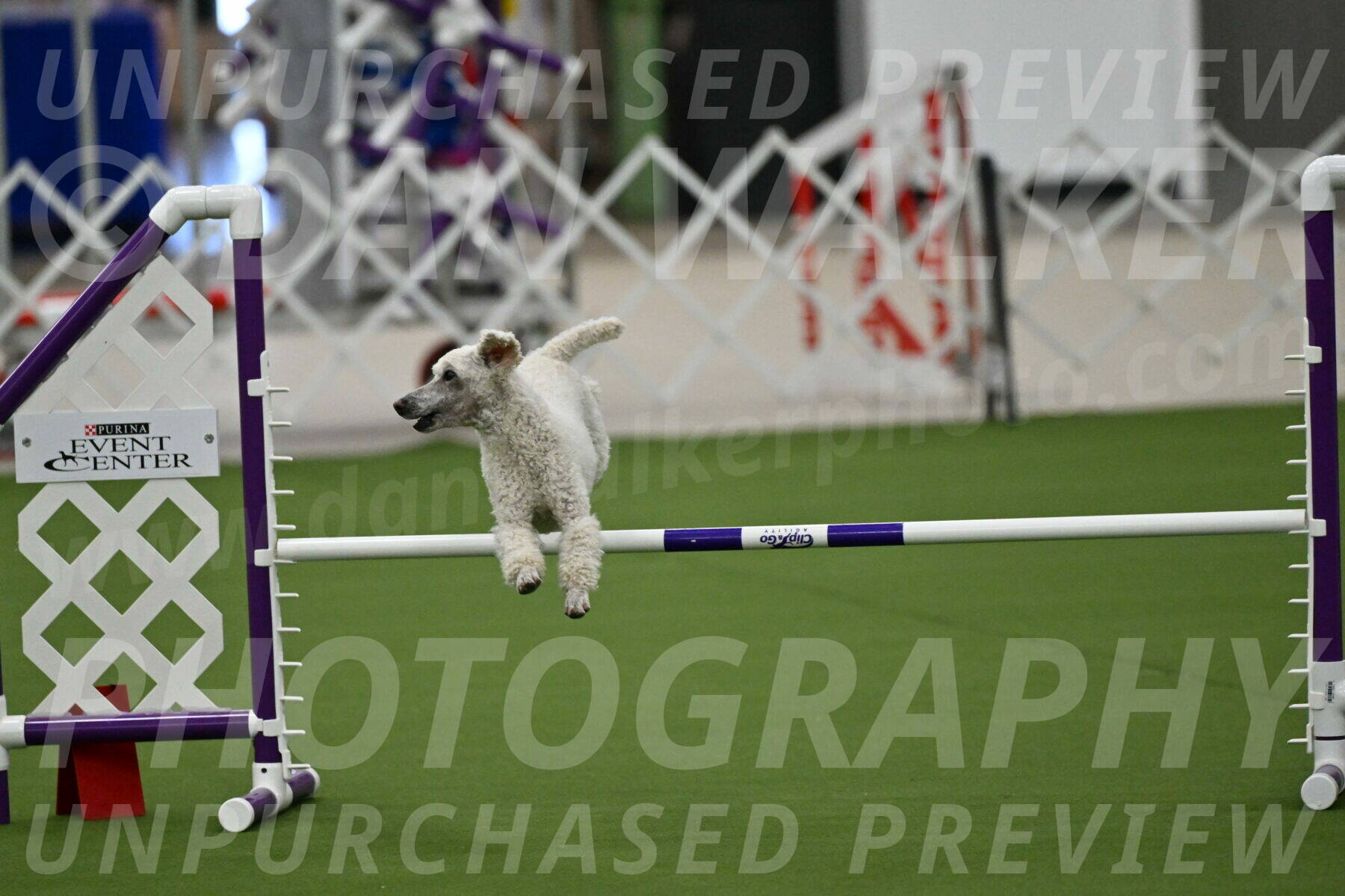 MAS-EX-JWW-16-Inch_2286