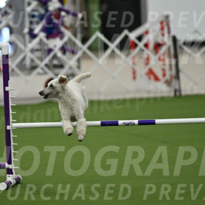 MAS-EX-JWW-16-Inch_2286