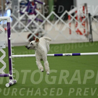 MAS-EX-JWW-16-Inch_2287