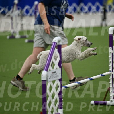 MAS-EX-JWW-16-Inch_2290