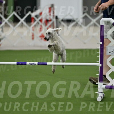 MAS-EX-JWW-16-Inch_2300