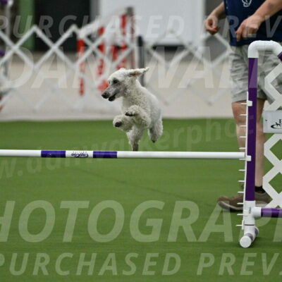 MAS-EX-JWW-16-Inch_2301