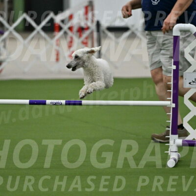 MAS-EX-JWW-16-Inch_2302