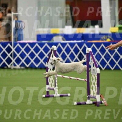 MAS-EX-JWW-16-Inch_2305