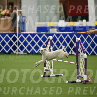 MAS-EX-JWW-16-Inch_2306