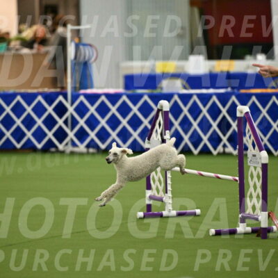 MAS-EX-JWW-16-Inch_2307