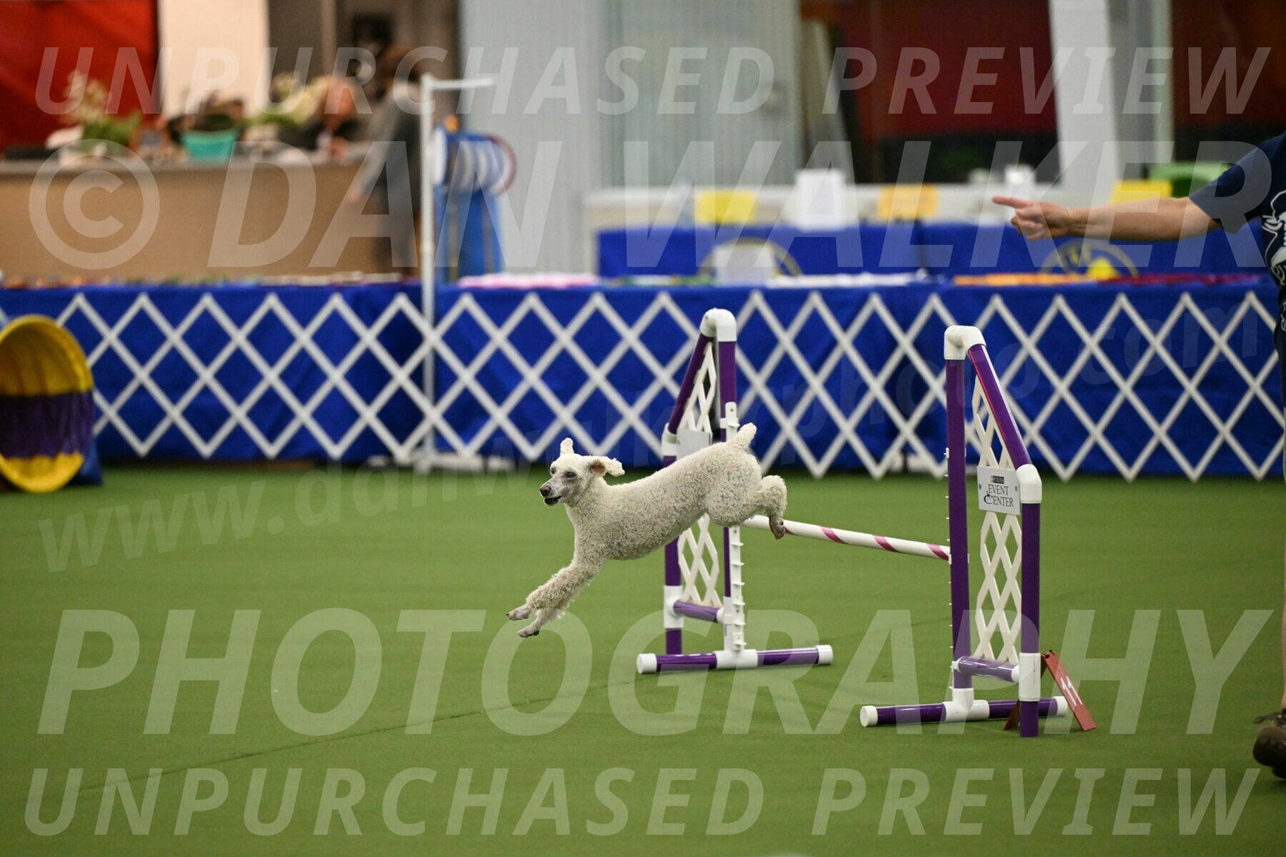 MAS-EX-JWW-16-Inch_2307