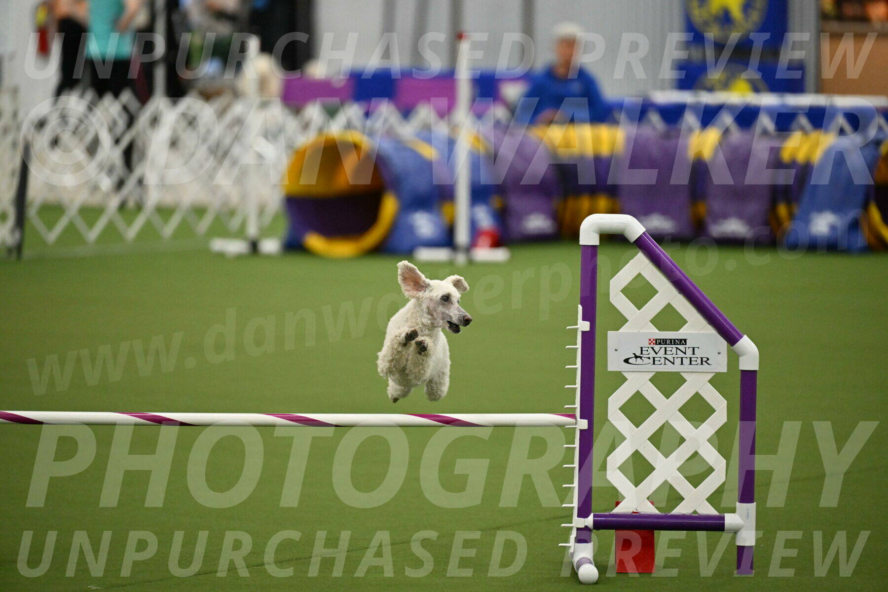 MAS-EX-JWW-16-Inch_2311