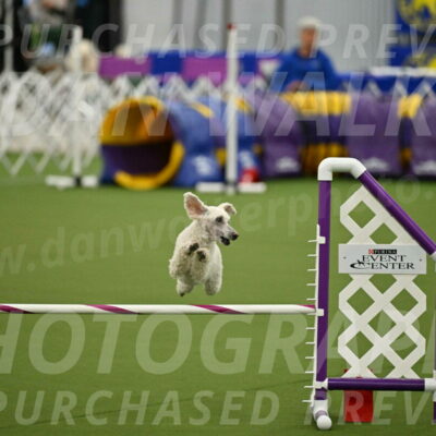 MAS-EX-JWW-16-Inch_2311