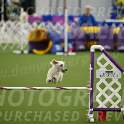 MAS-EX-JWW-16-Inch_2312