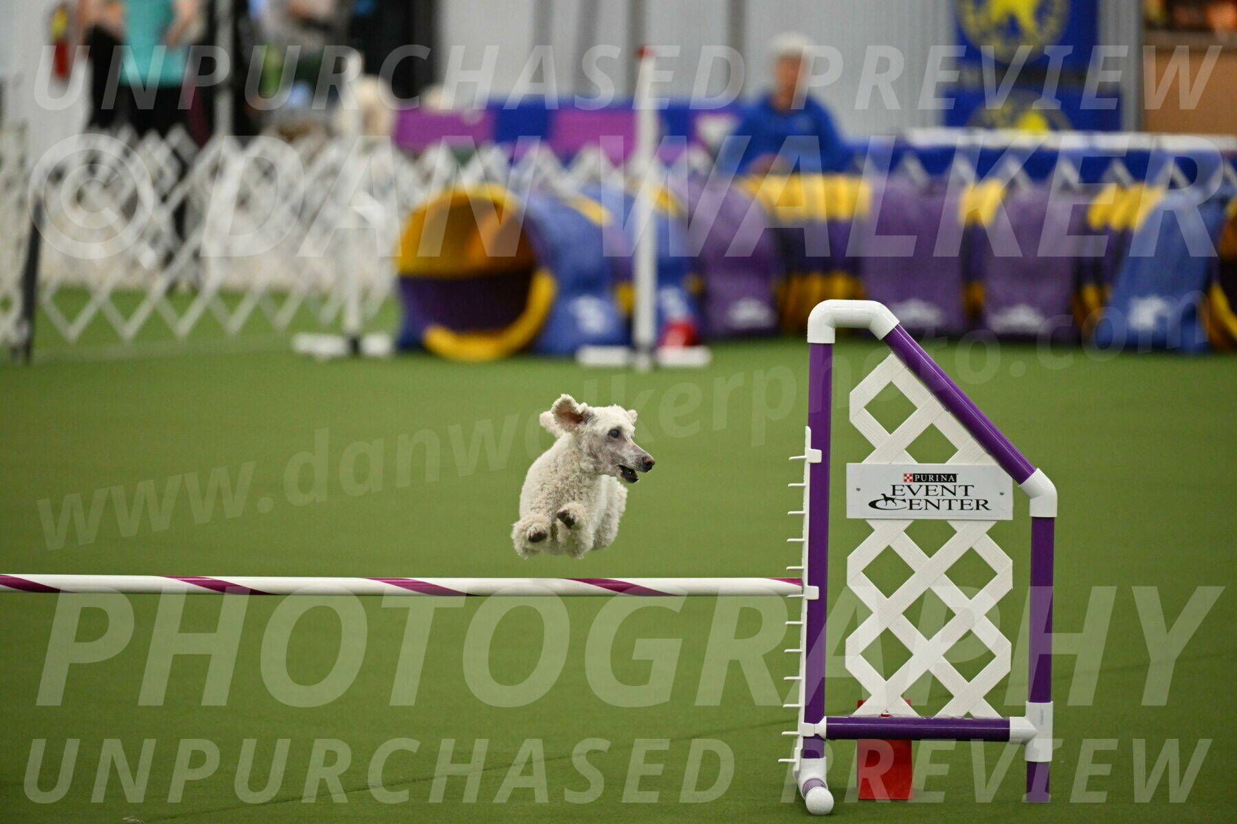 MAS-EX-JWW-16-Inch_2312