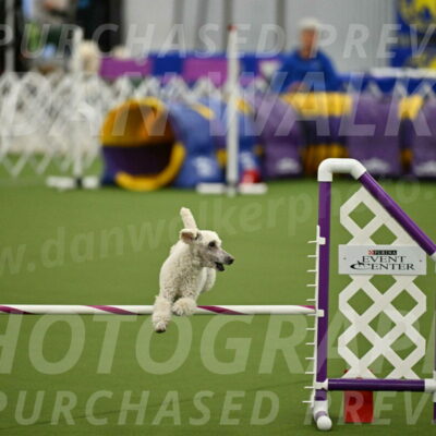 MAS-EX-JWW-16-Inch_2313