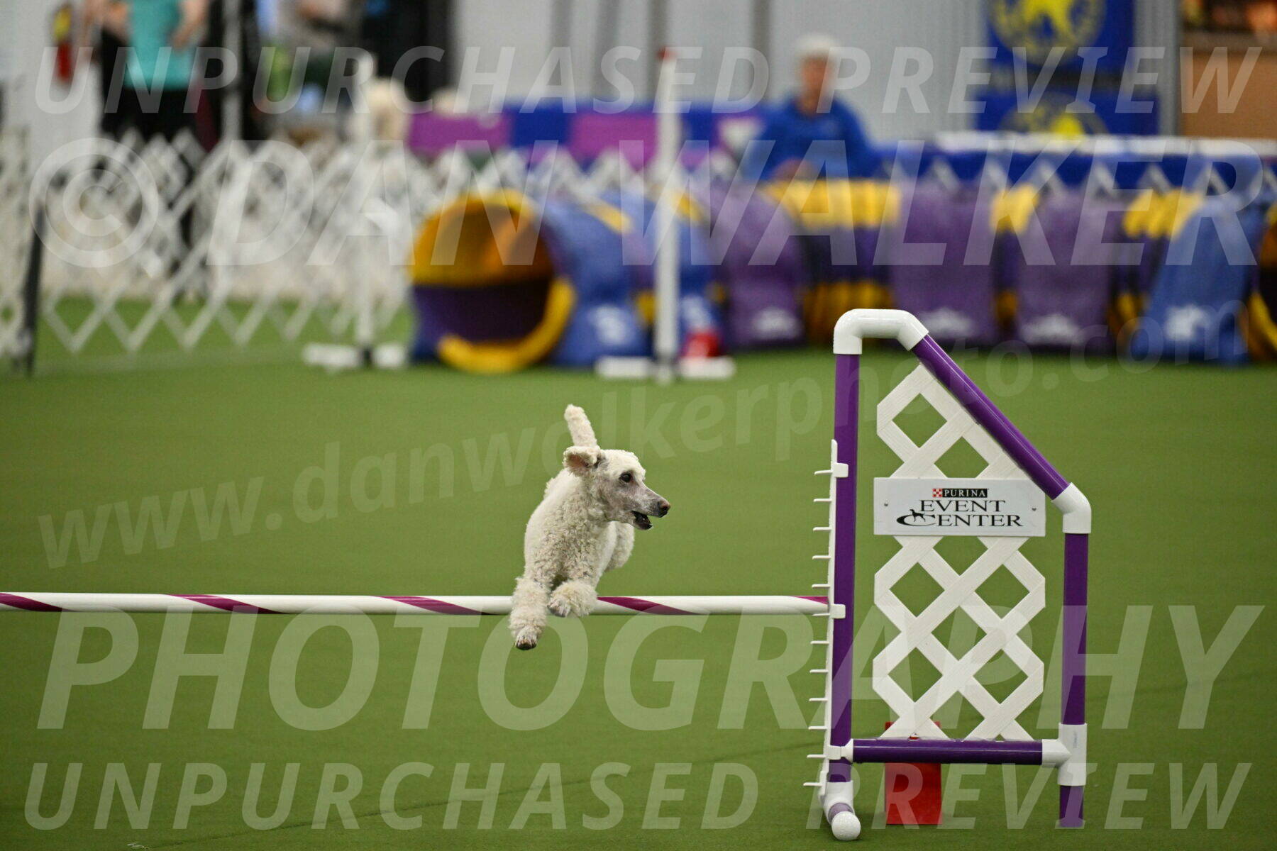 MAS-EX-JWW-16-Inch_2313