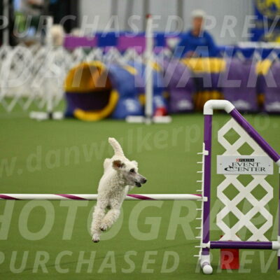 MAS-EX-JWW-16-Inch_2314