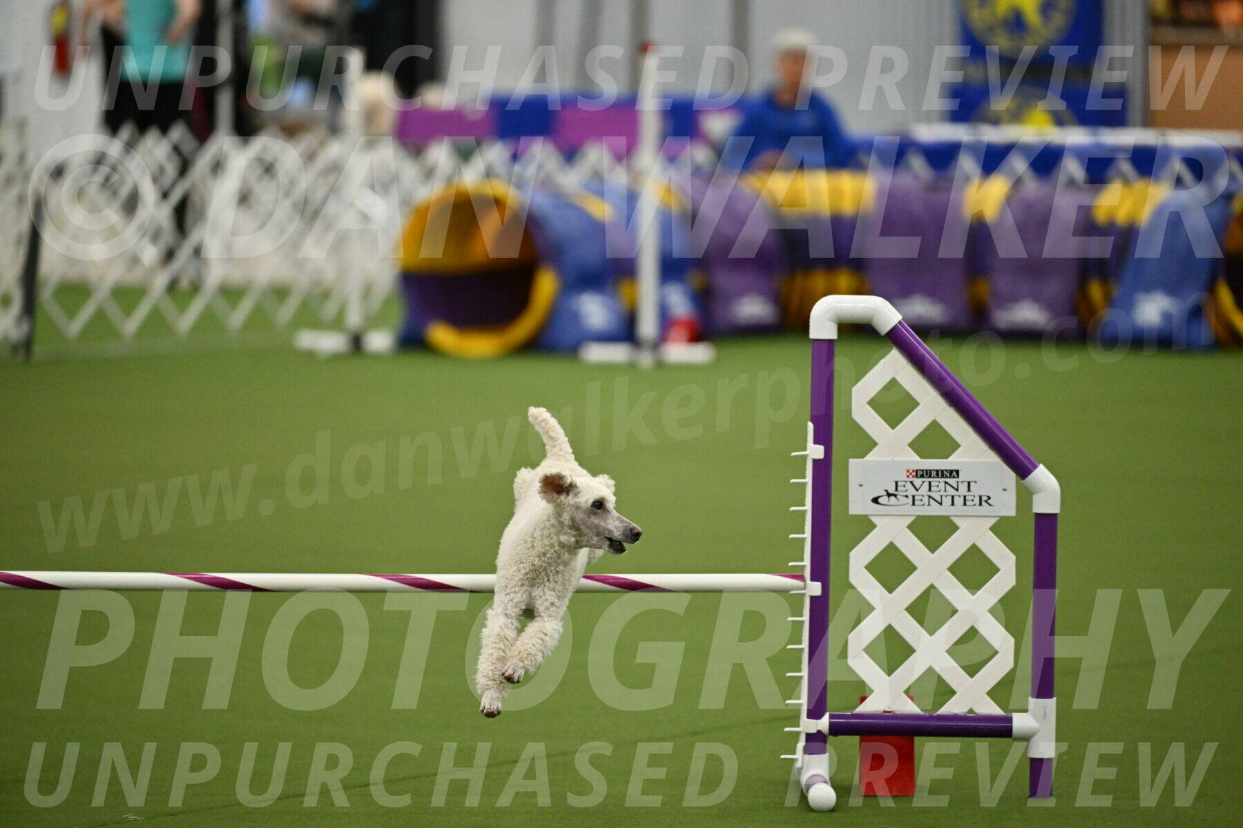 MAS-EX-JWW-16-Inch_2314