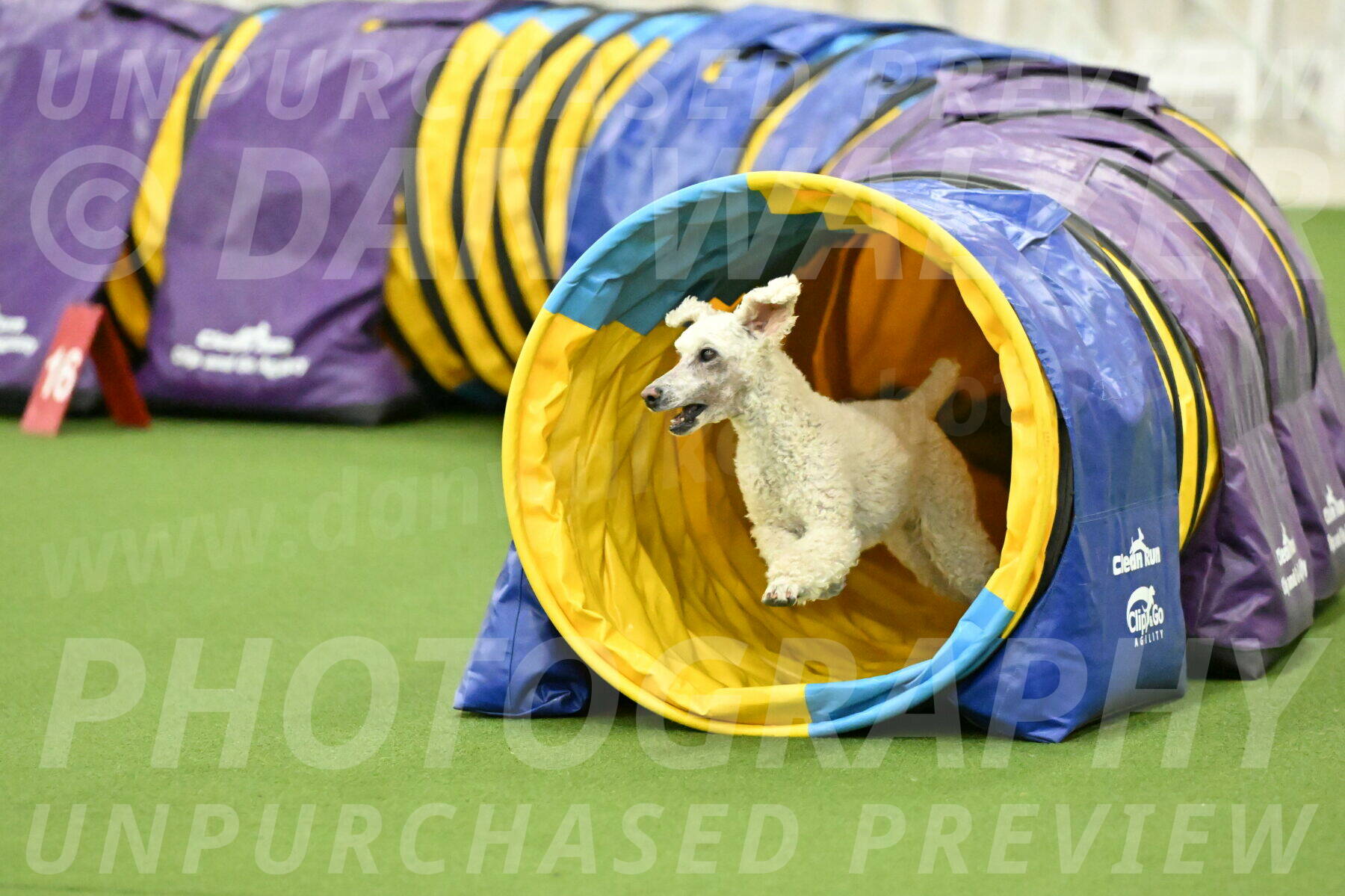 MAS-EX-JWW-16-Inch_2327