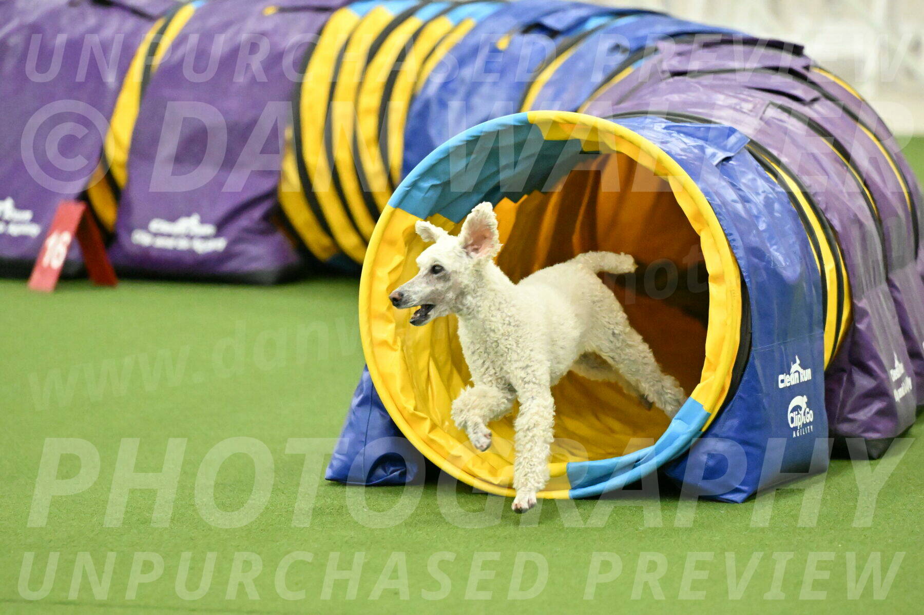 MAS-EX-JWW-16-Inch_2328