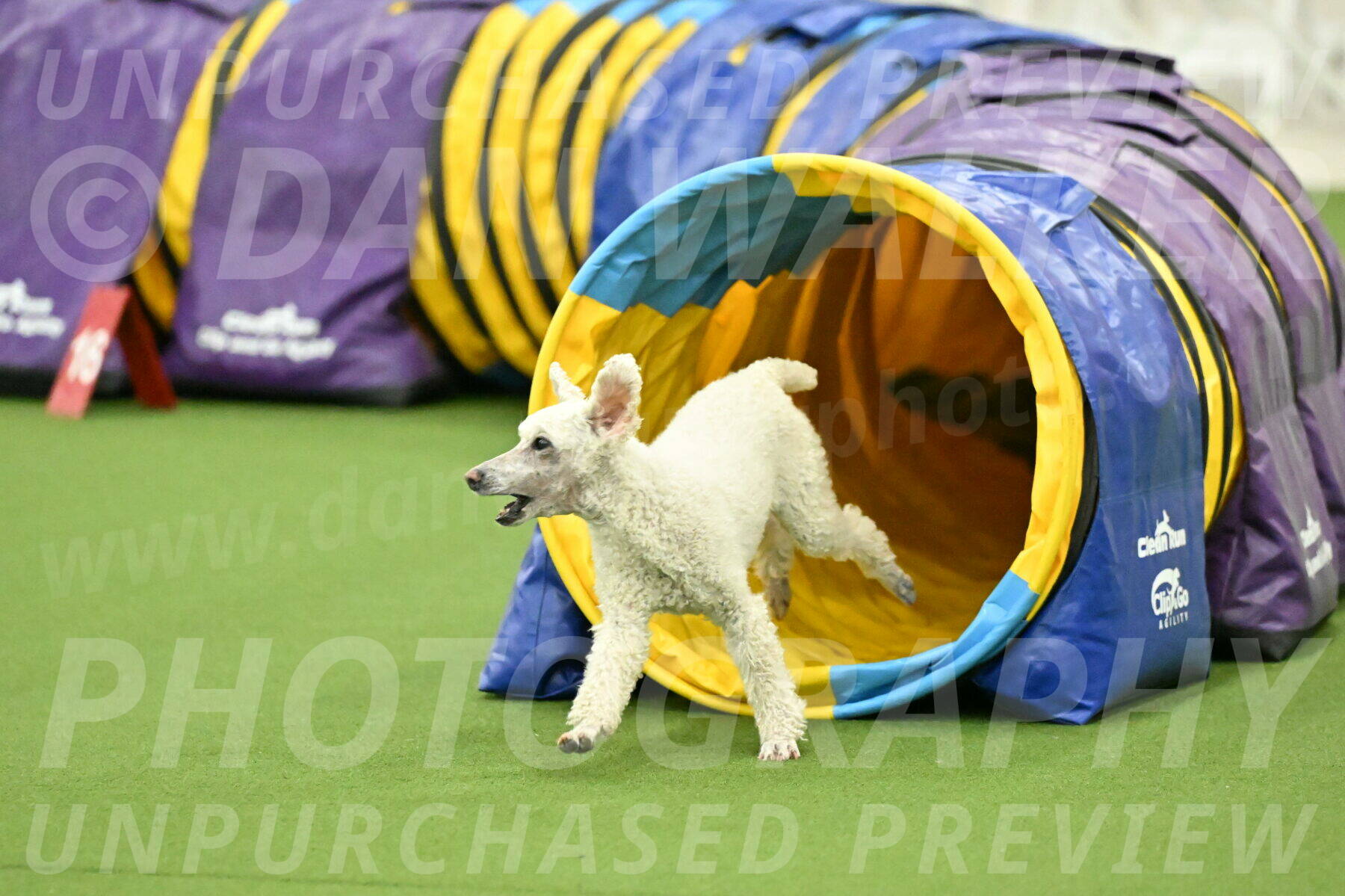 MAS-EX-JWW-16-Inch_2329