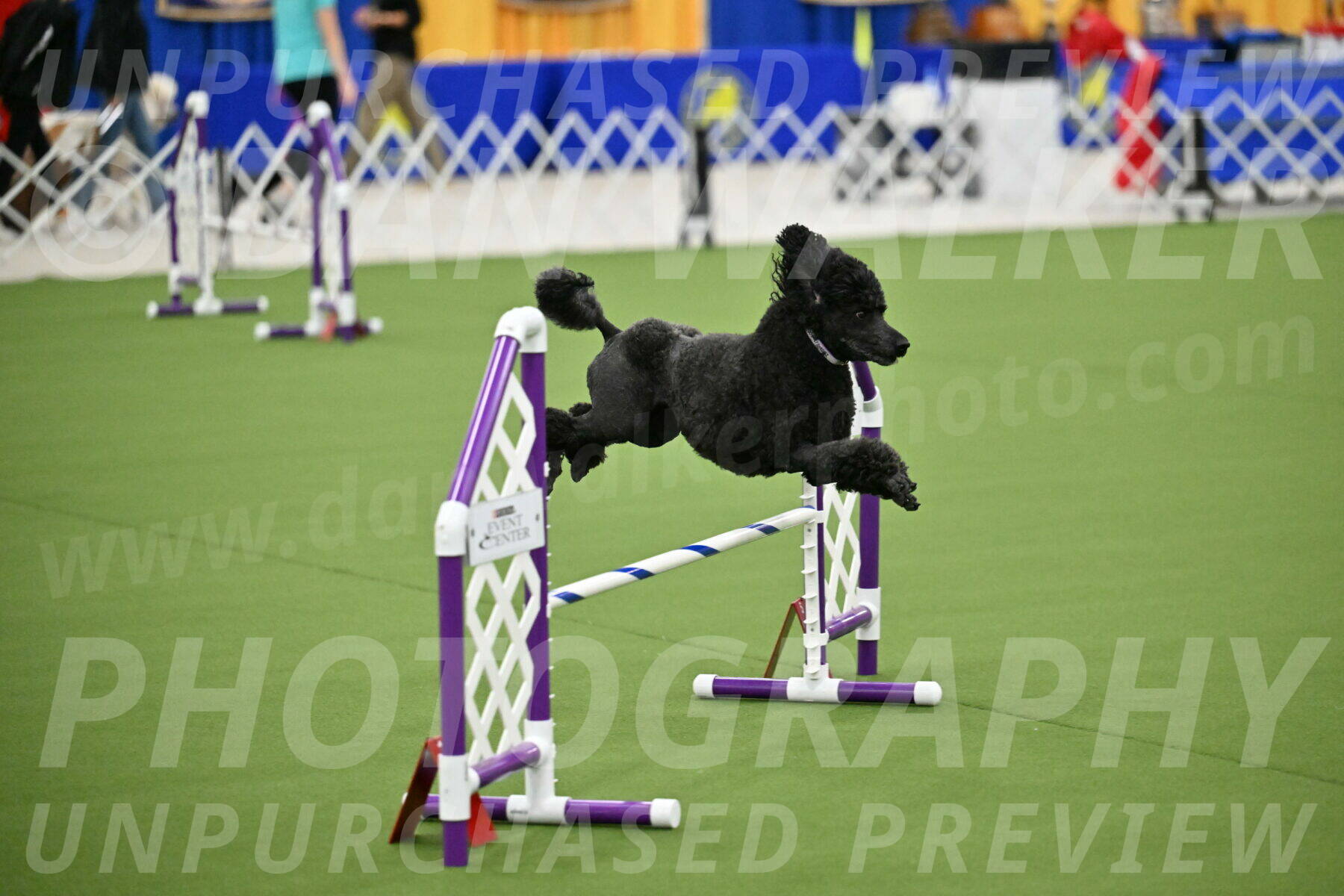 MAS-EX-JWW-16-Inch_2353