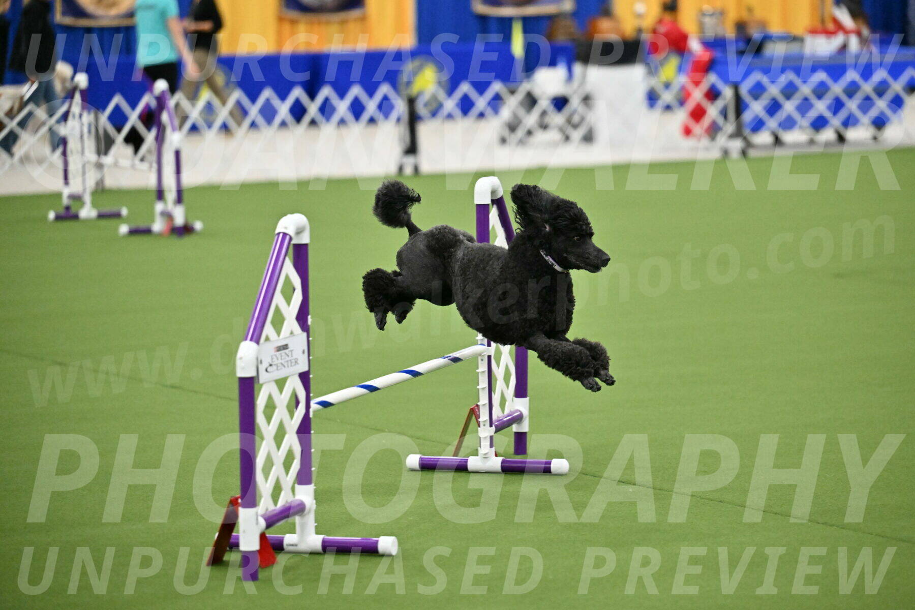 MAS-EX-JWW-16-Inch_2354