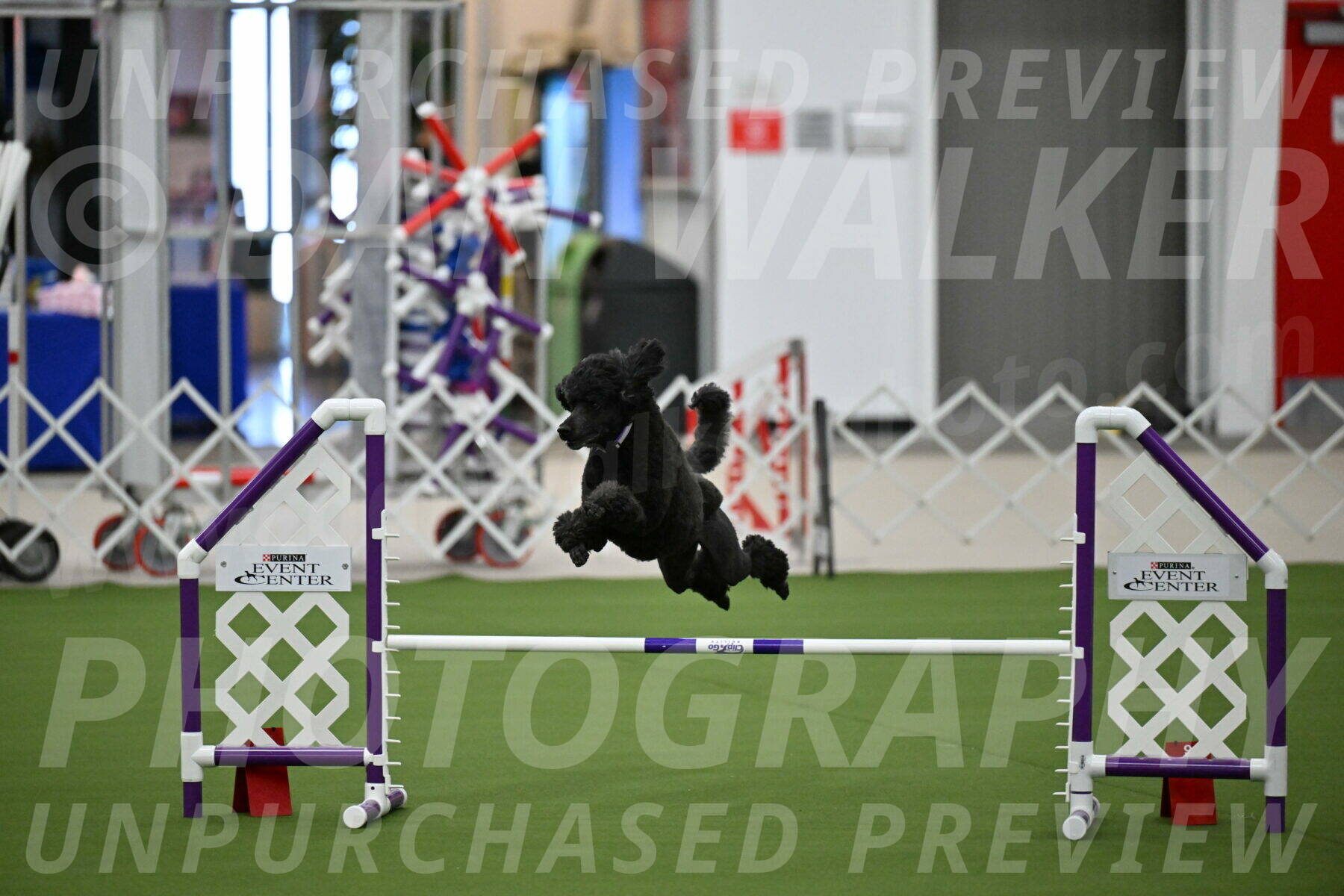 MAS-EX-JWW-16-Inch_2361