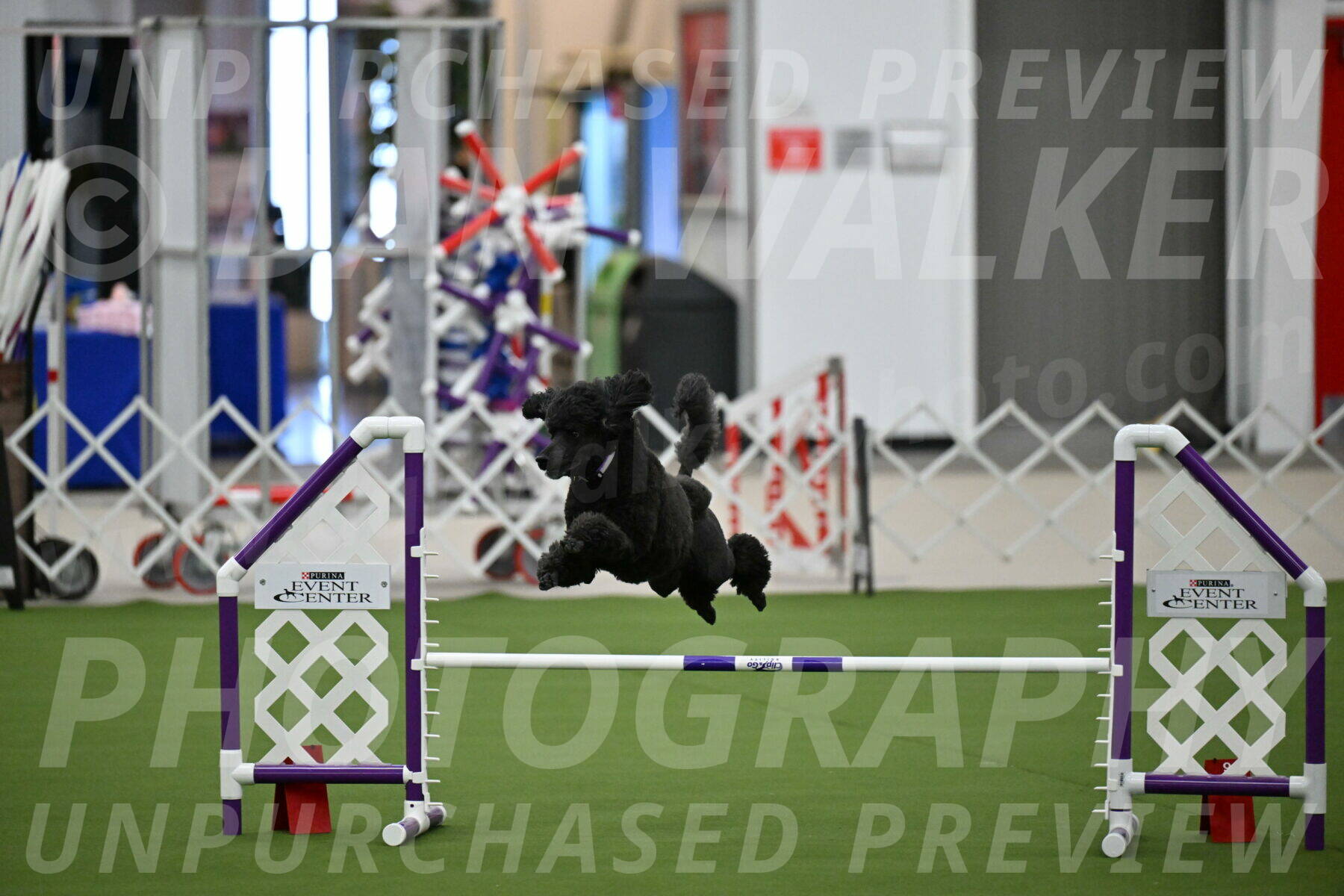 MAS-EX-JWW-16-Inch_2362