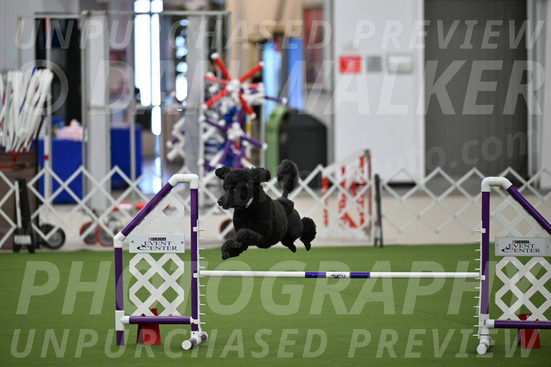 MAS-EX-JWW-16-Inch_2363