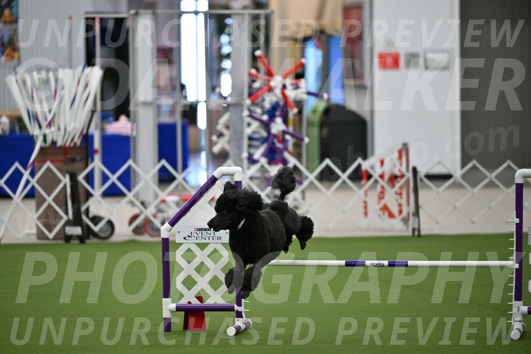 MAS-EX-JWW-16-Inch_2365