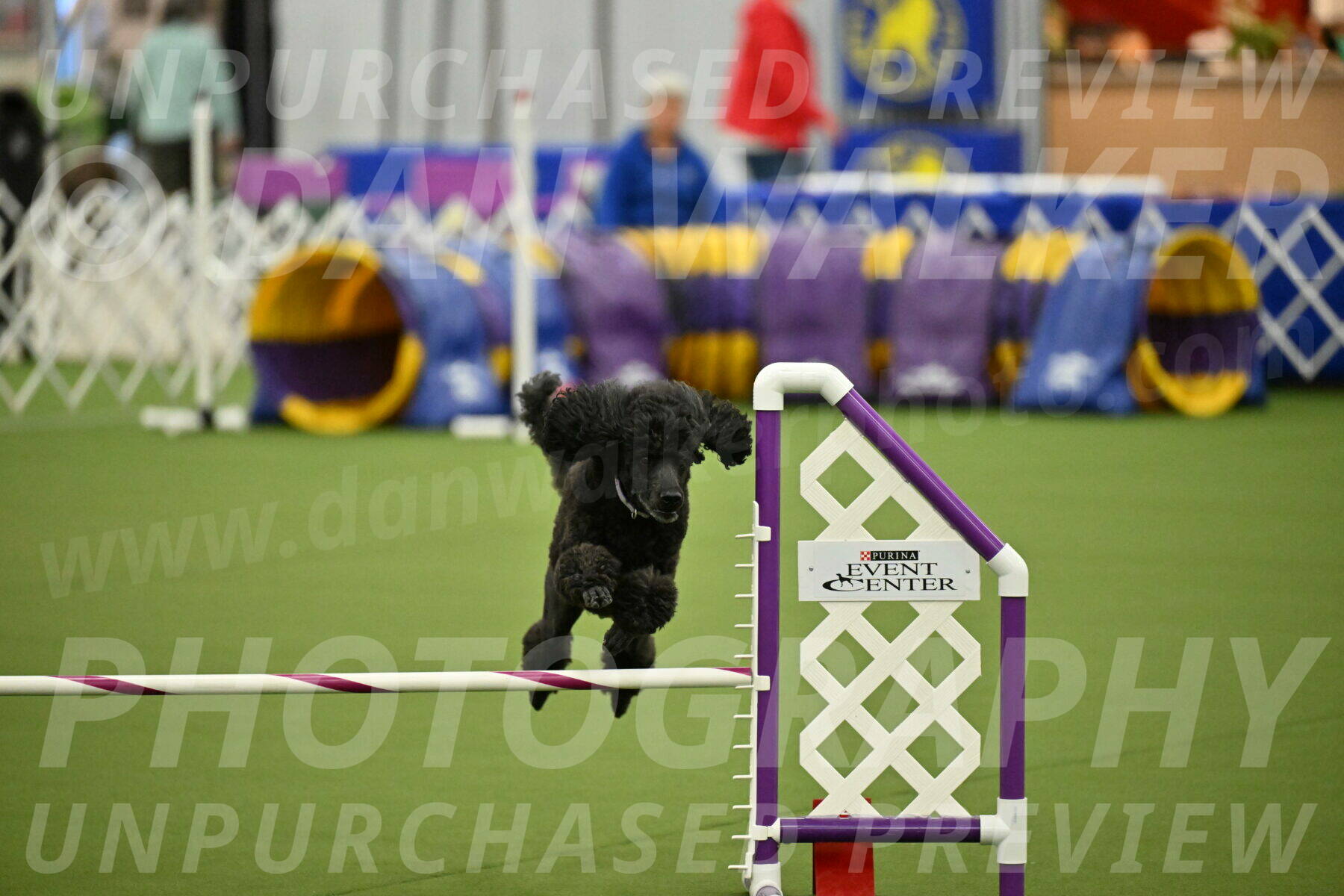 MAS-EX-JWW-16-Inch_2370