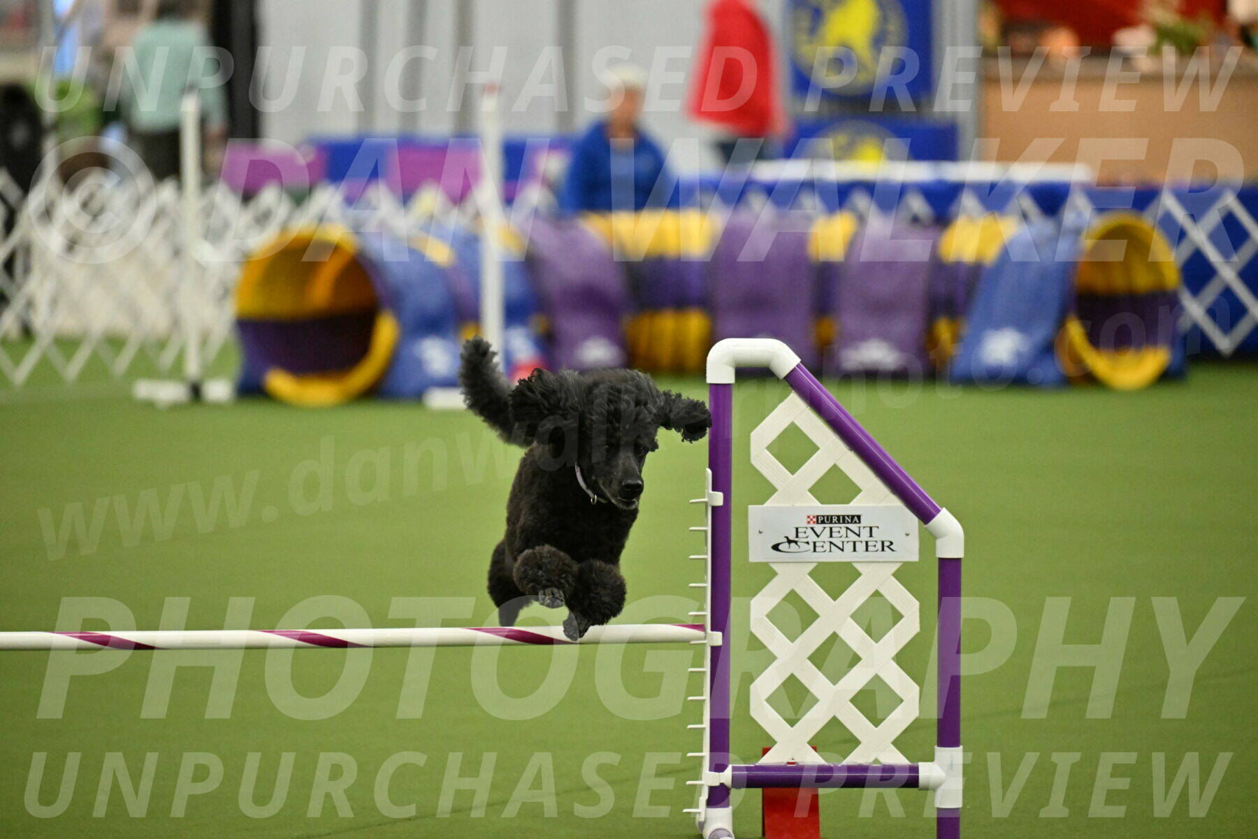 MAS-EX-JWW-16-Inch_2371