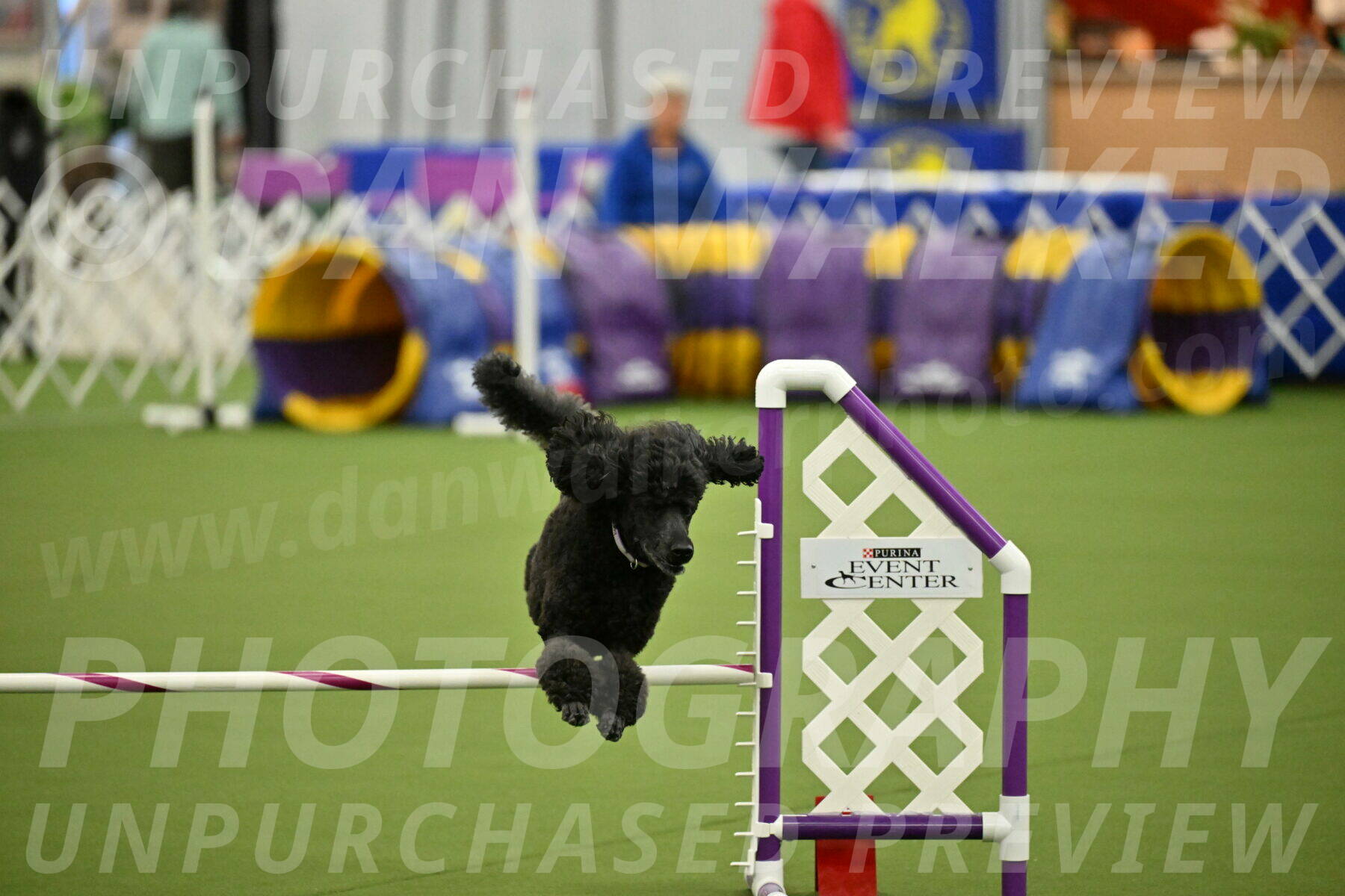 MAS-EX-JWW-16-Inch_2372