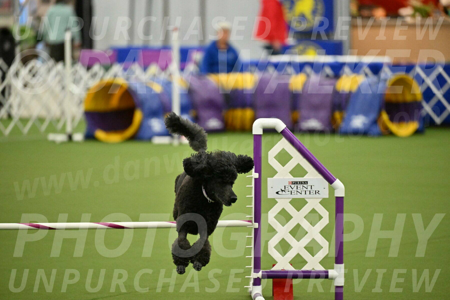 MAS-EX-JWW-16-Inch_2373