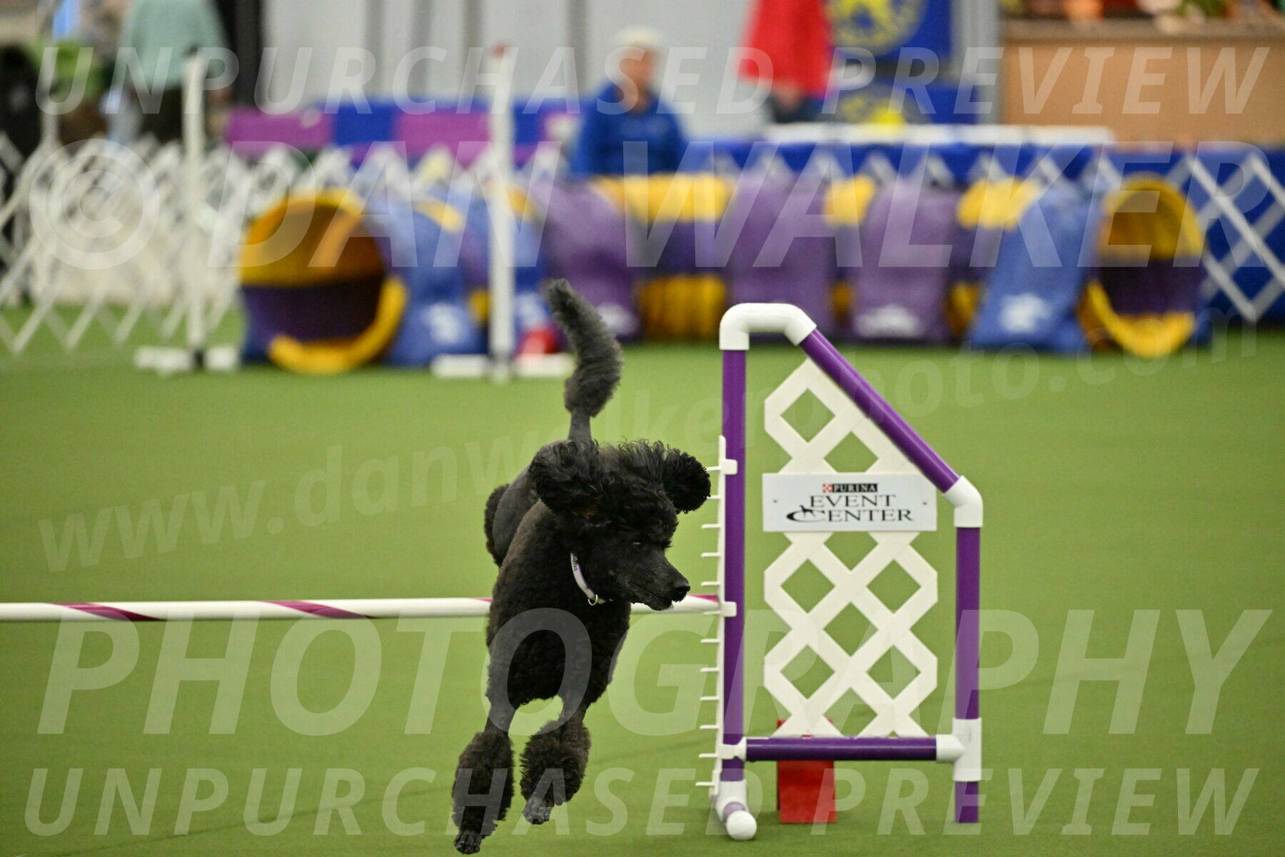 MAS-EX-JWW-16-Inch_2374