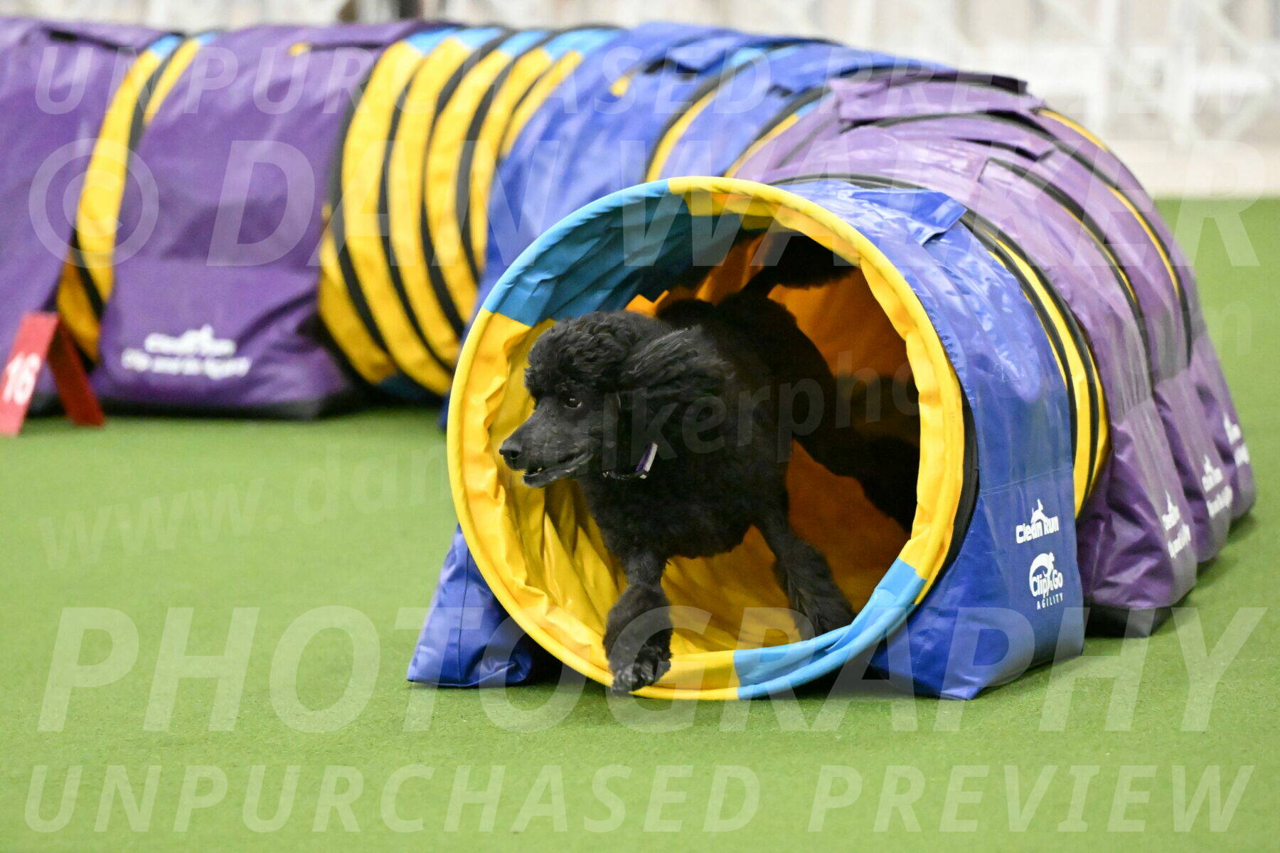 MAS-EX-JWW-16-Inch_2379