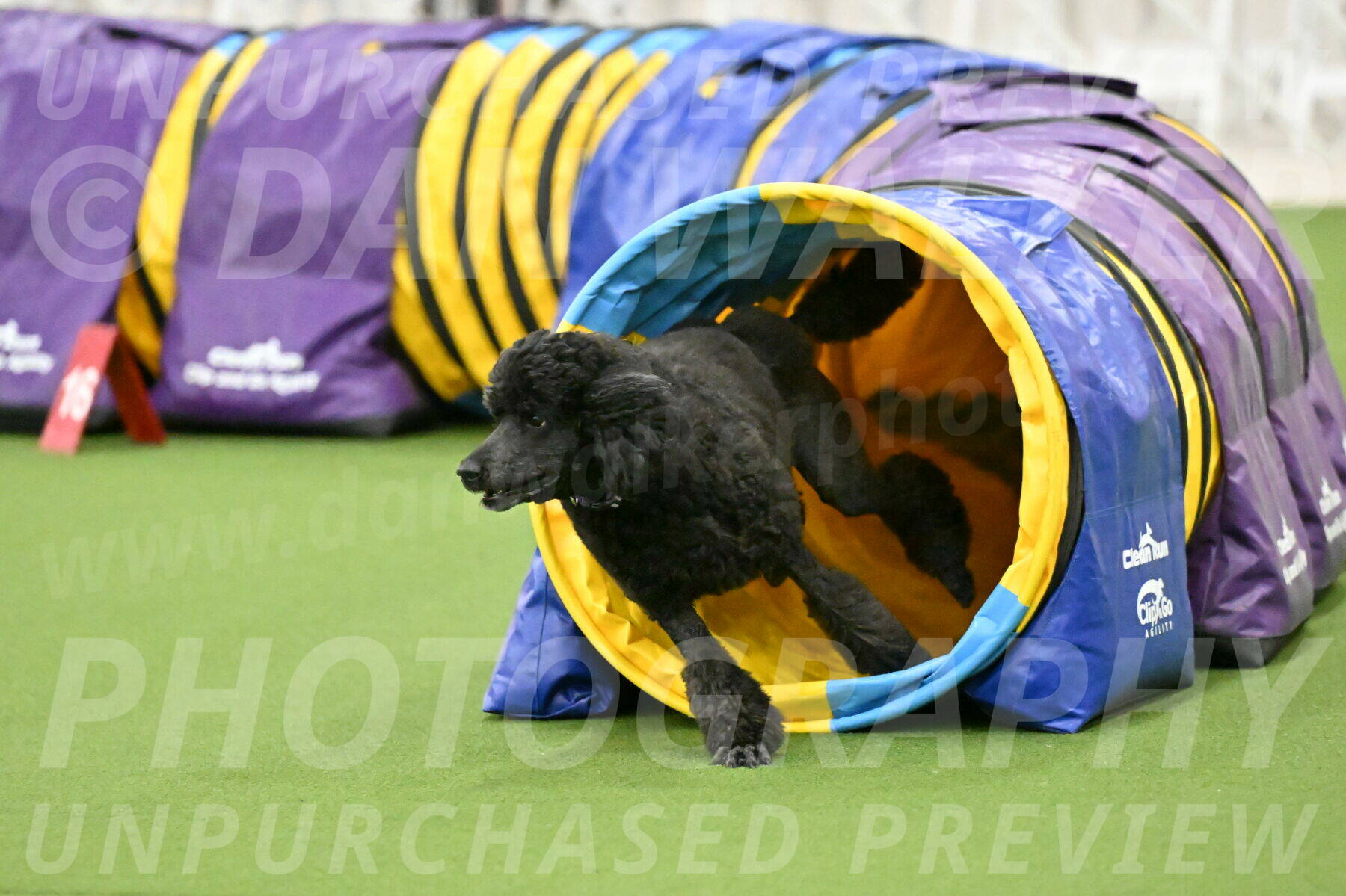 MAS-EX-JWW-16-Inch_2380