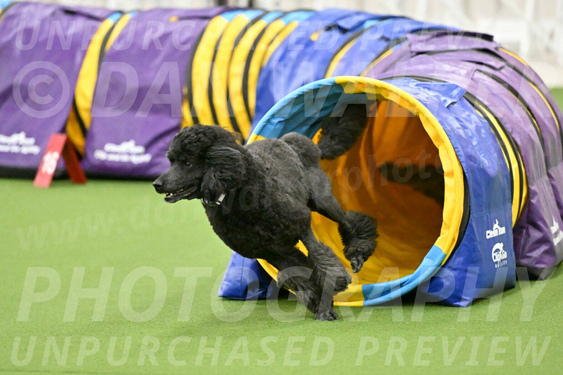 MAS-EX-JWW-16-Inch_2381